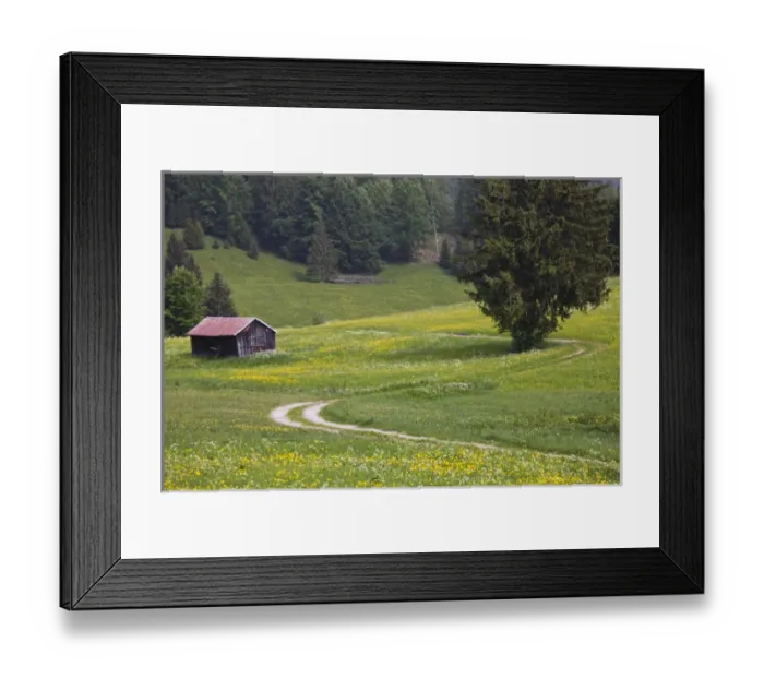 Framed Print : GERMANY, Bayern-Bavaria, Deutsche Alpenstrasse, Bad Hindelang. Alpine field with cabin