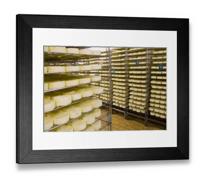 Framed Print : France, Briouze, Gillot Dairy, production of camembert cheese, drying room
