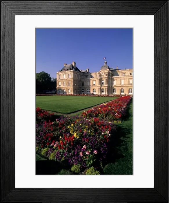 Framed Print : colorful flowers at Luxemburg Palace in Paris France