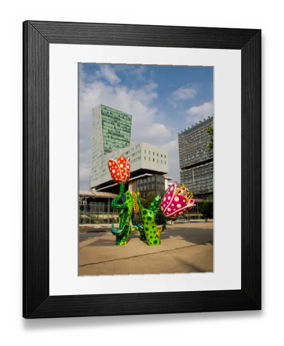Framed Print : Display of lillies and modern architecture in the French city of Lille France Framed Print : Display of lillies and modern architecture in the French city of Lille France
