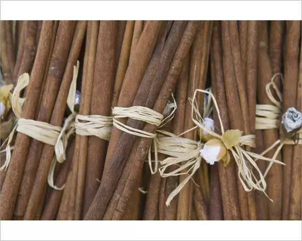 GREECE-CRETE-Lasithi Province-Kritsa: Cinnamon Sticks