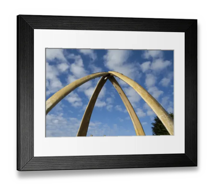 Framed Print : Falkland Island, Stanley (aka Port Stanley). Whalebone Arch, constructed in1933 Framed Print : Falkland Island, Stanley (aka Port Stanley). Whalebone Arch, constructed in1933