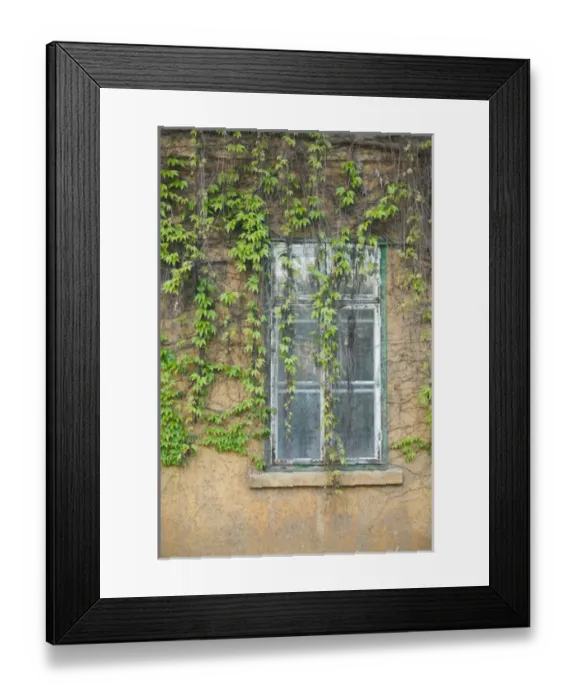 Framed Print : HUNGARY-DANUBE BEND-Visegrad: Vine Covered Building Framed Print : HUNGARY-DANUBE BEND-Visegrad: Vine Covered Building