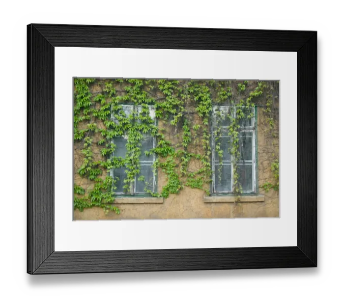 Framed Print : HUNGARY-DANUBE BEND-Visegrad: Vine Covered Building Framed Print : HUNGARY-DANUBE BEND-Visegrad: Vine Covered Building