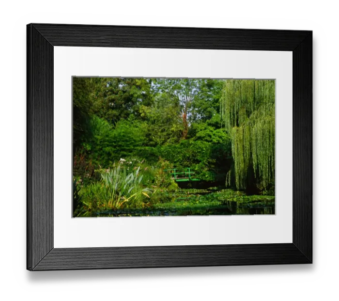 Framed Print : Claude Monets garden pond in Giverny, France Framed Print : Claude Monets garden pond in Giverny, France