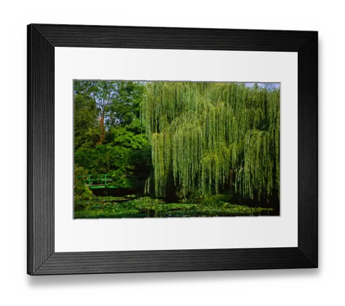 Framed Print : Claude Monets garden pond in Giverny, France
