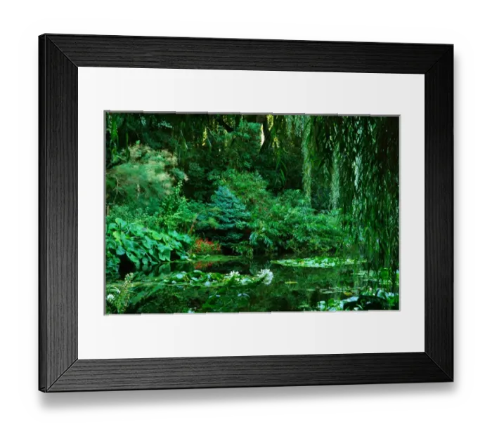 Framed Print : Claude Monets garden pond in Giverny, France Framed Print : Claude Monets garden pond in Giverny, France