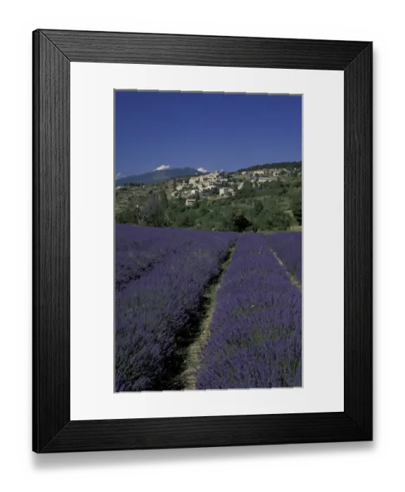 Framed Print : EUROPE, France, Provence, Aurel Lavender fields, hilltop village Framed Print : EUROPE, France, Provence, Aurel Lavender fields, hilltop village
