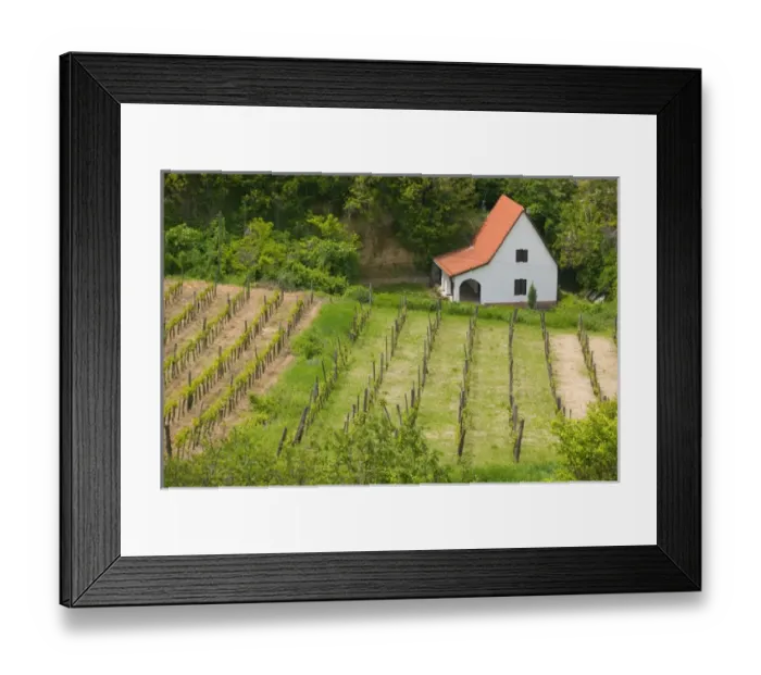 Framed Print : HUNGARY-Southern Transdanubia-SZEKSZARD: Vineyard View from Calvary Hill