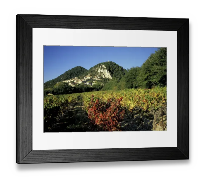 Framed Print : Europe, France, Seguret, Vaucluse Provence vineyards in autumn Framed Print : Europe, France, Seguret, Vaucluse Provence vineyards in autumn