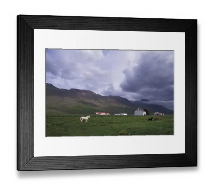 Framed Print : Iceland, North West Islands, Vatnasdalsholar Hills Horse farm with mountains in background