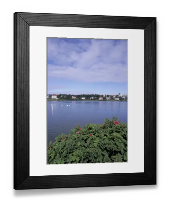 Framed Print : Iceland, Reykjavik Homes on Tjornin Lake Framed Print : Iceland, Reykjavik Homes on Tjornin Lake