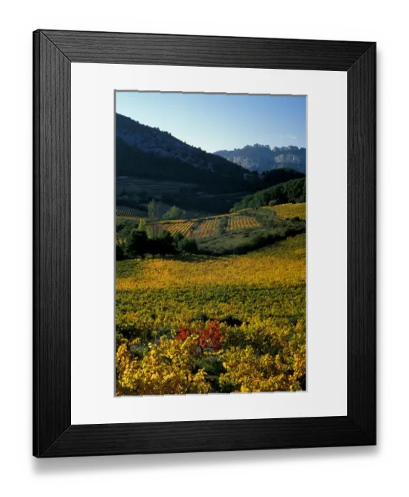 Framed Print : EU, France, Provence, Vaucluse. Dentelles de Montmirail vineyards in autumn