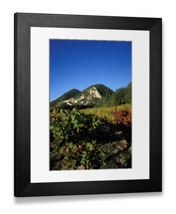Framed Print : EU, France, Provence, Vaucluse, Seguret. Vineyards in autumn Framed Print : EU, France, Provence, Vaucluse, Seguret. Vineyards in autumn