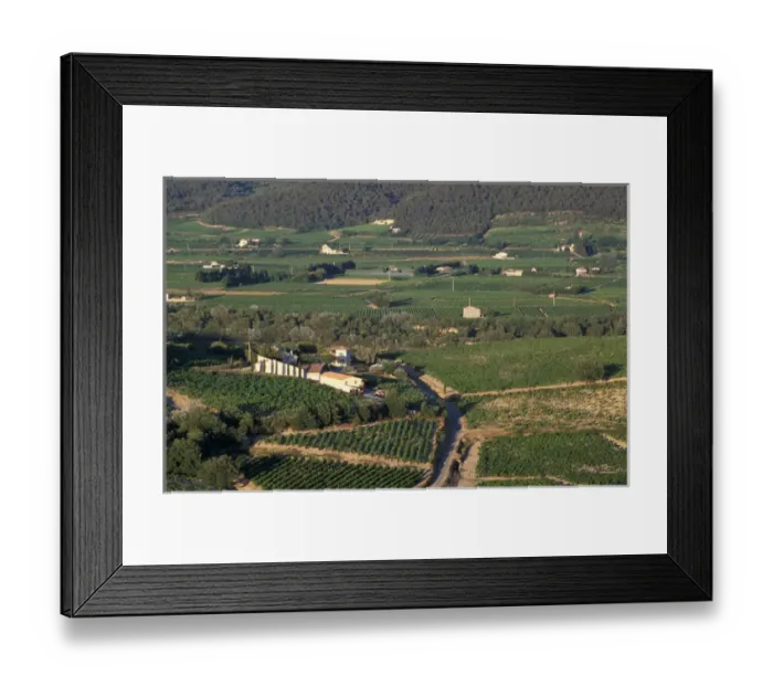 Framed Print : EU, France, Provence, Vaucluse. Cote du Rhone vineyards Framed Print : EU, France, Provence, Vaucluse. Cote du Rhone vineyards