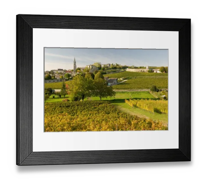 Framed Print : Vineyards in autumn, St Emilion, Gironde, le Bordelais, France Framed Print : Vineyards in autumn, St Emilion, Gironde, le Bordelais, France