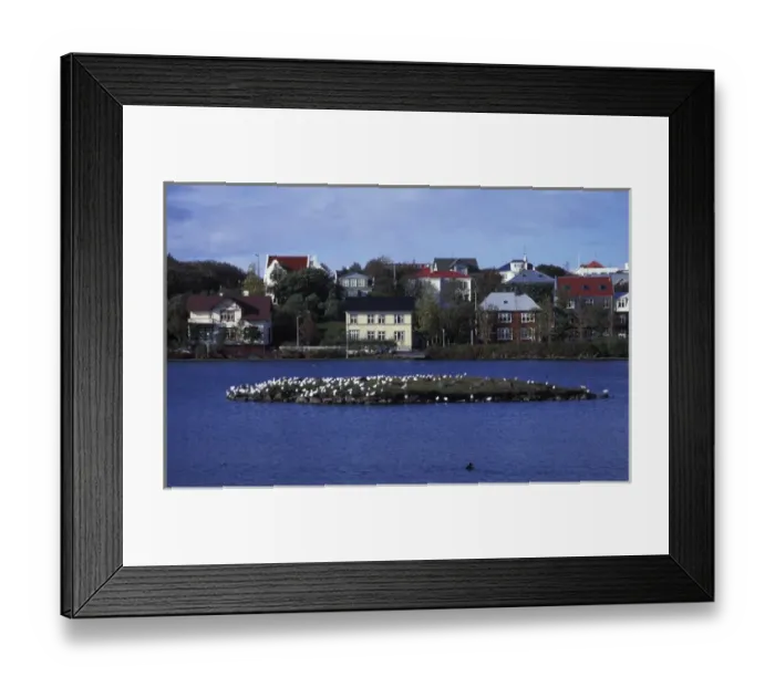 Framed Print : 04. Europe, Iceland, Reykjavik, Tjorn Lake Framed Print : 04. Europe, Iceland, Reykjavik, Tjorn Lake
