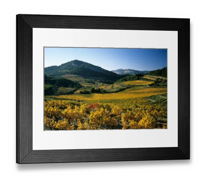 Framed Print : Dentelles de Montmirail; Cote-du-Rhone vineyards; Vaucluse; Provence; France Framed Print : Dentelles de Montmirail; Cote-du-Rhone vineyards; Vaucluse; Provence; France