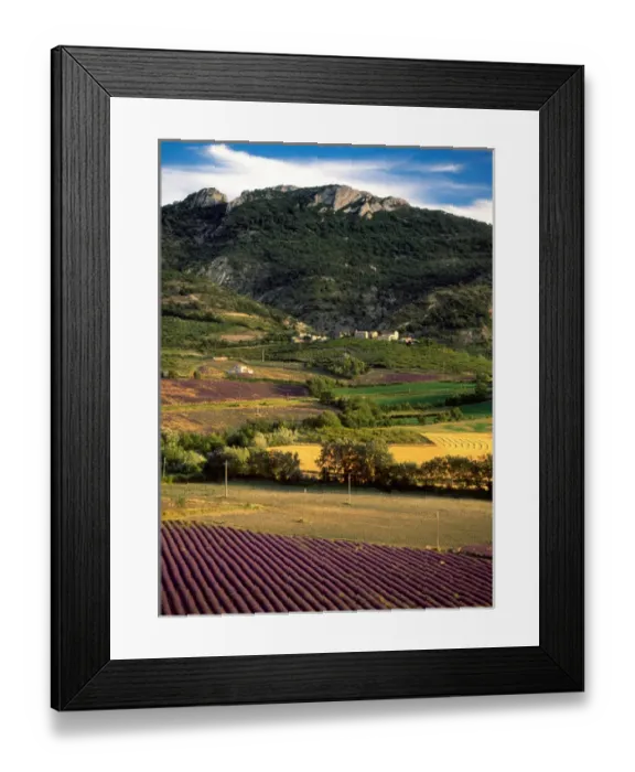 Framed Print : High Provence, Drome, France lavender fields, hay fields and fruit orchards Framed Print : High Provence, Drome, France lavender fields, hay fields and fruit orchards