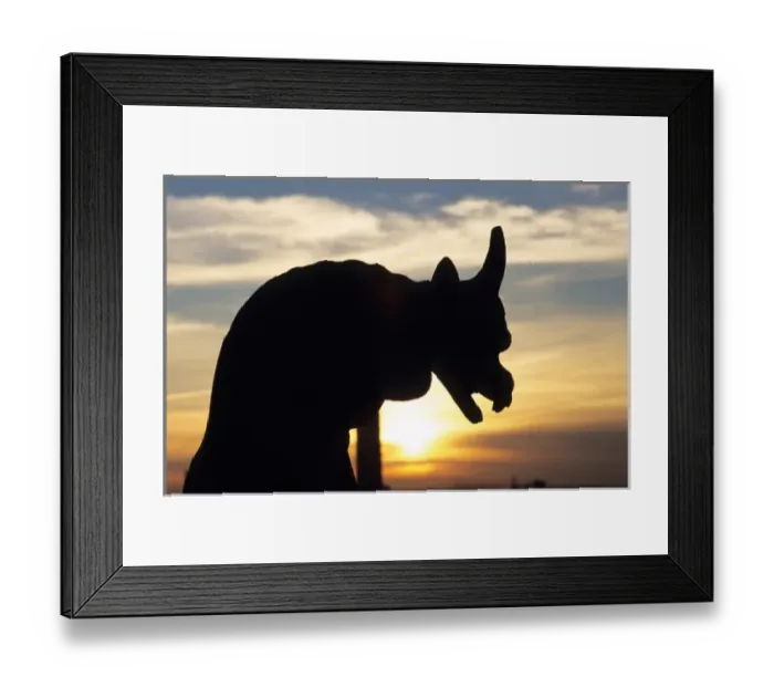 Framed Print : Chimera on tower of Notre Dame Cathedral; Paris; France sunset Framed Print : Chimera on tower of Notre Dame Cathedral; Paris; France sunset