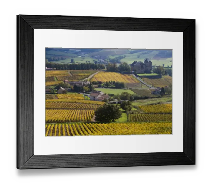 Framed Print : Chateau of Pierreclos and vineyards in autumn, Soane et Loire, Burgundy, France Framed Print : Chateau of Pierreclos and vineyards in autumn, Soane et Loire, Burgundy, France