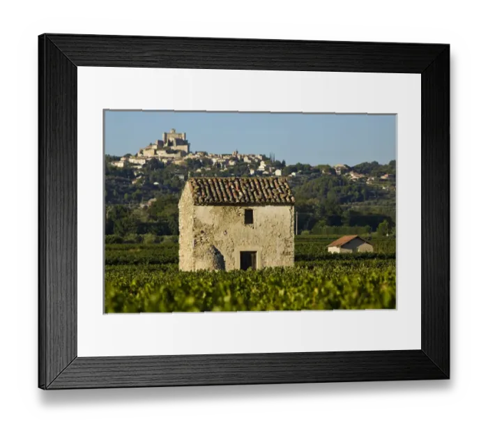 Framed Print : Vineyards of the Veniceient, le Barroux, Vaucluse, Provence, France Framed Print : Vineyards of the Veniceient, le Barroux, Vaucluse, Provence, France
