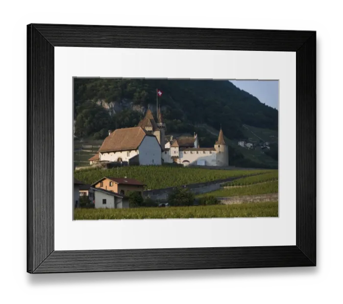 Framed Print : Aigle Castle, vineyards, Vaud, Switzerland Framed Print : Aigle Castle, vineyards, Vaud, Switzerland