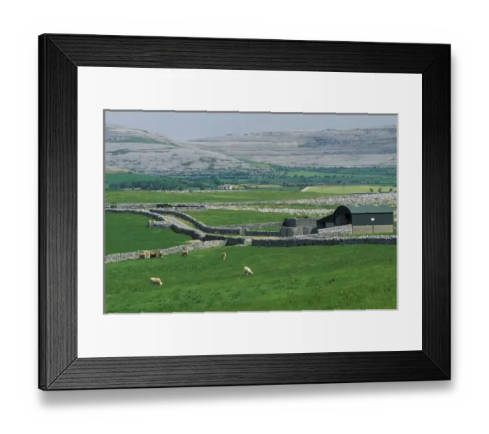 Framed Print : Europe, Ireland, County Clare. The Burren