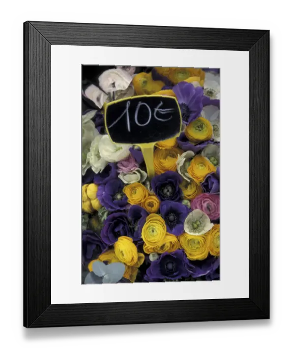 Framed Print : Europe, France, Aix En Provence. Bunch of flowers Framed Print : Europe, France, Aix En Provence. Bunch of flowers