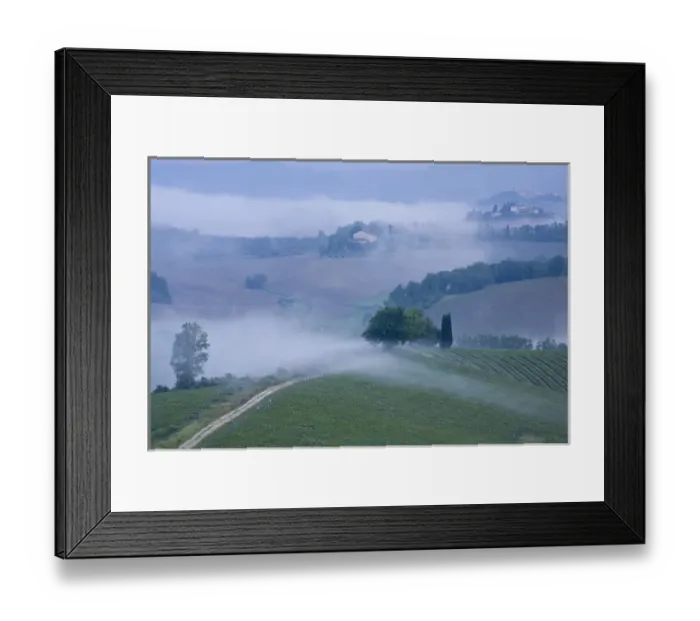 Framed Print : Italy, Tuscany, misty morning landscape