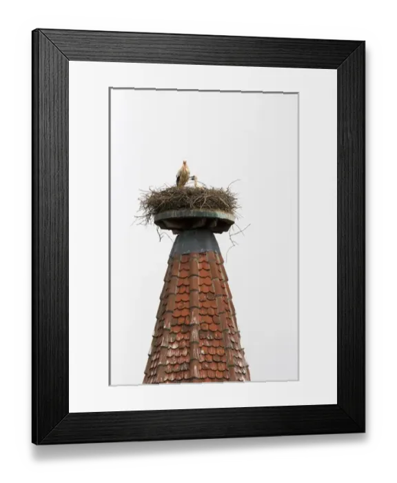 Framed Print : Stork nesting atop a steeple at Ribeauville, France. france, french, europe Framed Print : Stork nesting atop a steeple at Ribeauville, France. france, french, europe