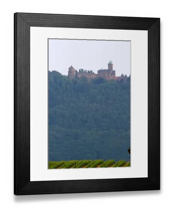 Framed Print : Vineyards near the village of Ribeauville, Eastern France with Koeningsberg Castle Framed Print : Vineyards near the village of Ribeauville, Eastern France with Koeningsberg Castle