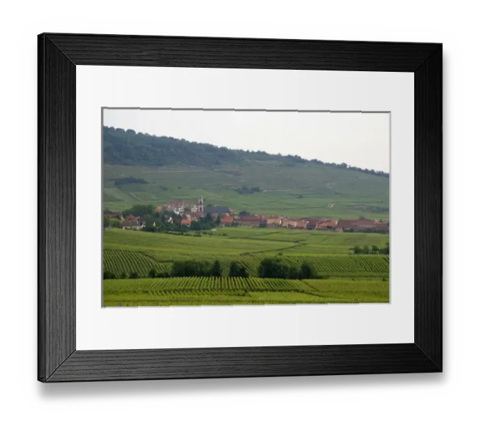 Framed Print : Vineyards near the village of Ribeauville, Eastern France. france, french