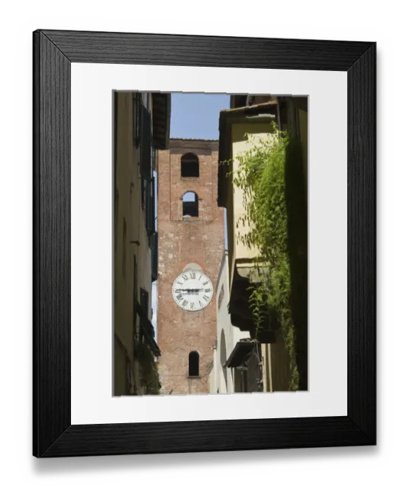 Framed Print : Tower, Lucca, Tuscany, Italy, Europe Framed Print : Tower, Lucca, Tuscany, Italy, Europe