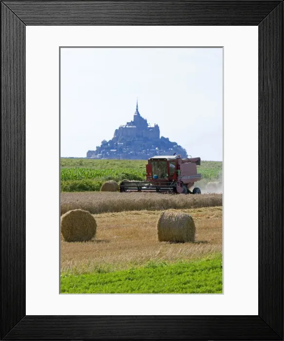 Framed Print : Harvesting wheat with Le Mont Saint Michel in the background in the region of Basse-Normandie Framed Print : Harvesting wheat with Le Mont Saint Michel in the background in the region of Basse-Normandie