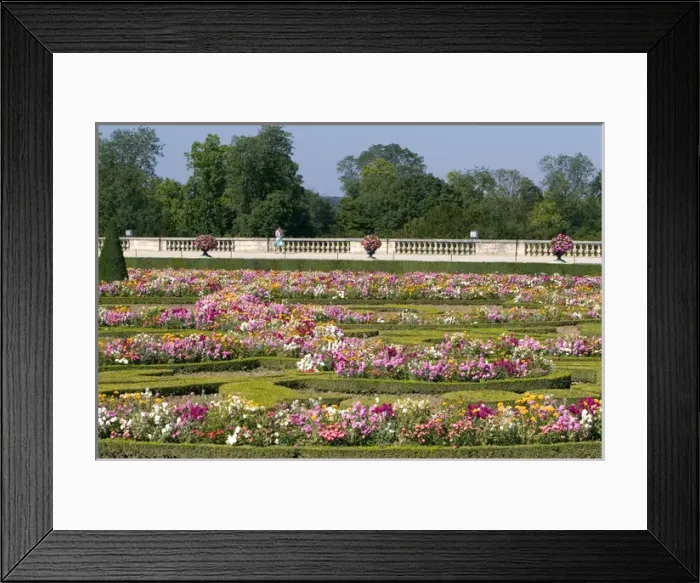 Framed Print : The formal gardens at The Palace of Versailles at Versailles in the department of Yvelines