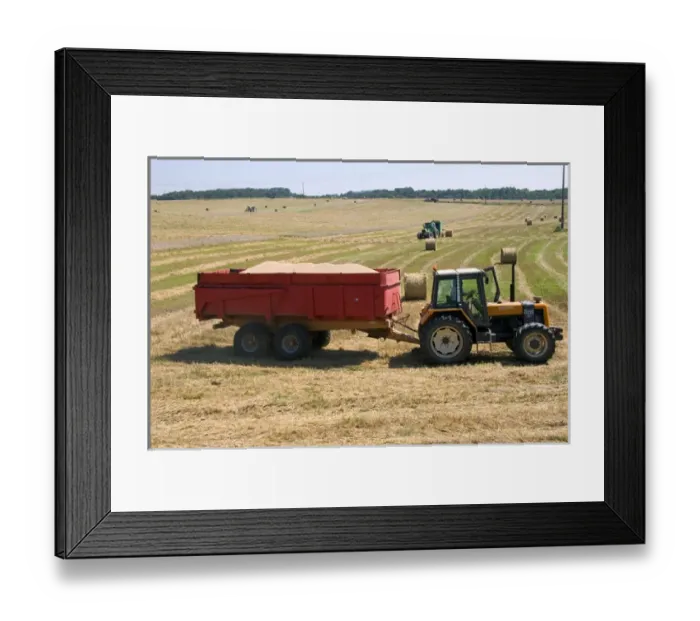 Framed Print : Wheat harvest near Vervins in the region of Picardie, France Framed Print : Wheat harvest near Vervins in the region of Picardie, France