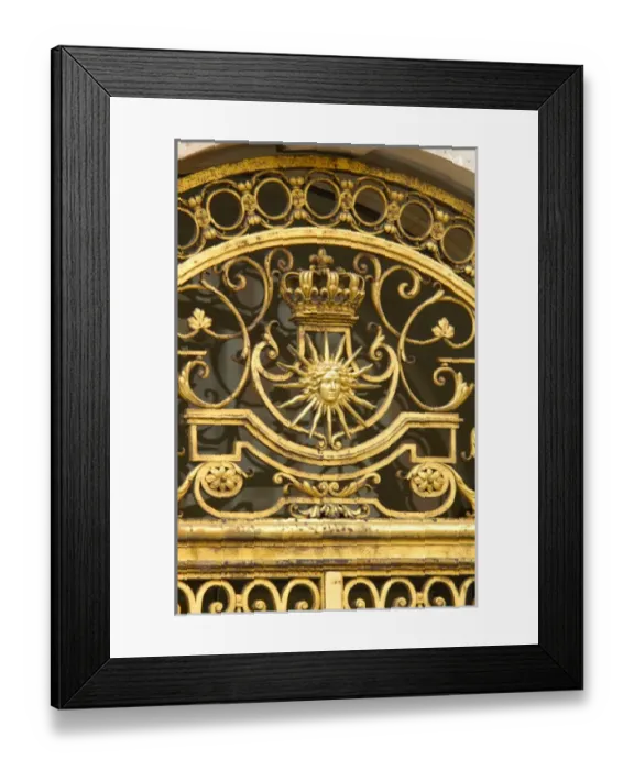 Framed Print : 03. France, Versailles, detail of gold metal work