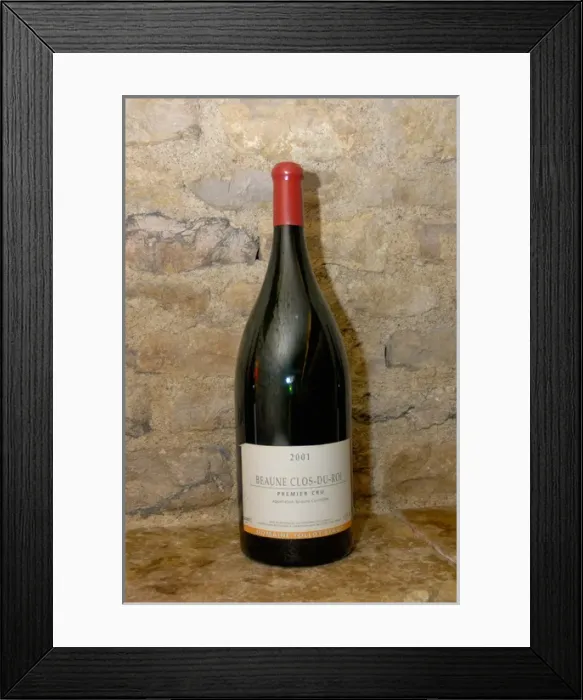 Framed Print : 03. France, Burgundy, Beaune, bottle of Premier Cru wine Framed Print : 03. France, Burgundy, Beaune, bottle of Premier Cru wine