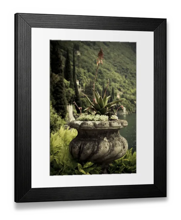 Framed Print : ITALY, Lecco Province, Varenna. Villa Monastero, gardens and lakefront Framed Print : ITALY, Lecco Province, Varenna. Villa Monastero, gardens and lakefront