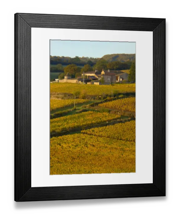 Framed Print : 03. France, Maconnais Region, Autumn morning in Pouilly-Fuisse vineyards 
