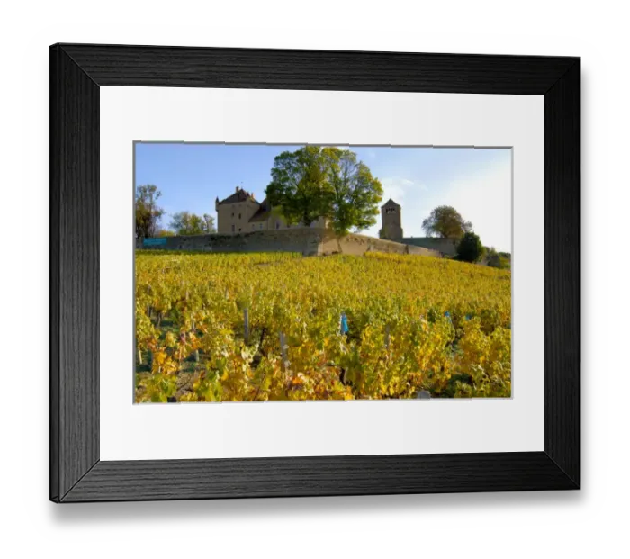 Framed Print : 03. France, Burgundy, Maconnais region, Chateau de Pierreclos, view