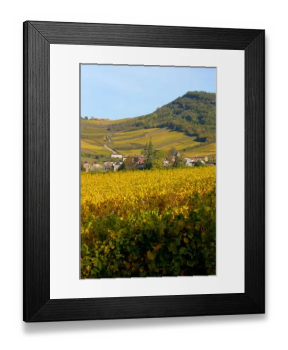 Framed Print : 03. France, Burgundy, Maconnais region, view of countryside Framed Print : 03. France, Burgundy, Maconnais region, view of countryside