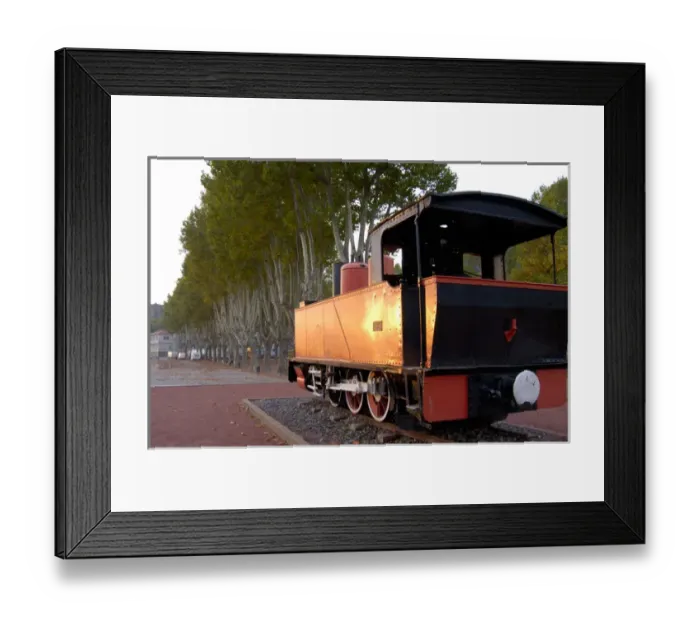 Framed Print : 03. France, Rhone-Alps, Tournon, train display along riverbank