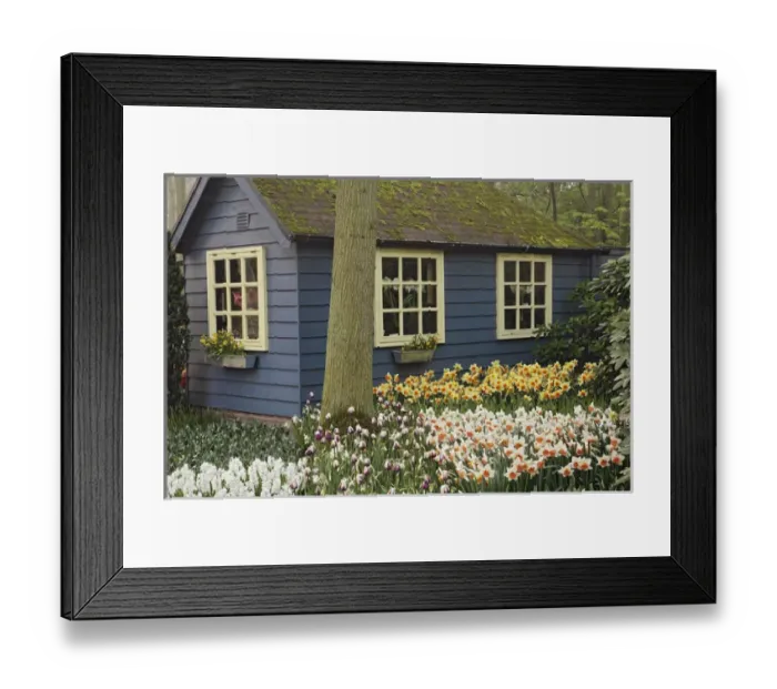 Framed Print : Small cottage flower shop, Keukenhof Gardens, Lisse, Netherlands Framed Print : Small cottage flower shop, Keukenhof Gardens, Lisse, Netherlands