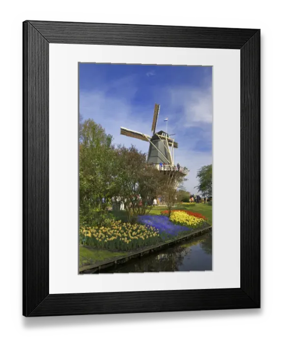 Framed Print : Europe, Netherlands, Holland, Lisse, Keukenhof Gardens in the spring Framed Print : Europe, Netherlands, Holland, Lisse, Keukenhof Gardens in the spring