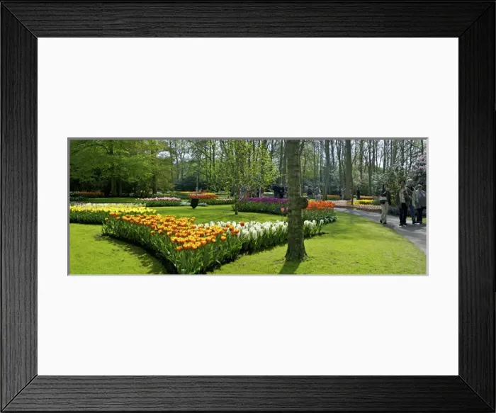 Framed Print : Europe, Netherlands, Holland, Lisse, Keukenhof Gardens in spring Framed Print : Europe, Netherlands, Holland, Lisse, Keukenhof Gardens in spring