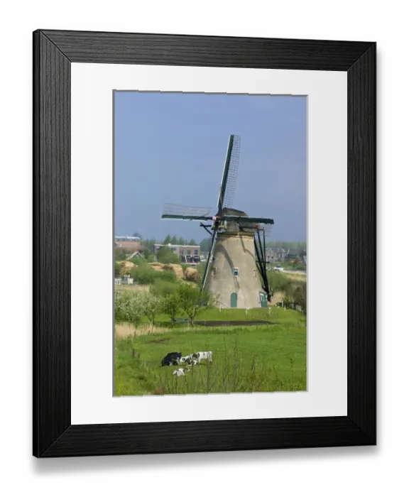 Framed Print : Europe, Netherlands, Holland, Kinderdijk, Windmills used to pump water from the lowlands