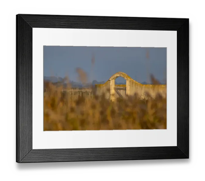 Framed Print : 03. France, Provence, Camargue, grasses surrounding corral, bullring Framed Print : 03. France, Provence, Camargue, grasses surrounding corral, bullring