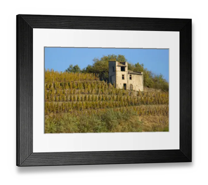 Framed Print : 03. France, Rhone-Alps, Condrieu, stucco building among hillside vineyards Framed Print : 03. France, Rhone-Alps, Condrieu, stucco building among hillside vineyards